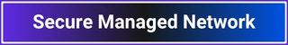 Secure Managed Network